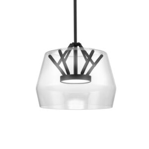 Deco LED Pendant in Clear with Black