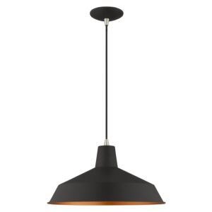 Metal Shade Mini Pendants 1-Light Mini Pendant in Black w with Brushed Nickels