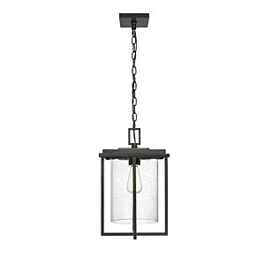 Adair 1-Light Outdoor Hanging Lantern in Powder Coated Black