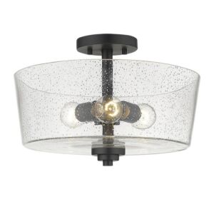 Three Light Semi-Flush Mount by Acclaim Lighting