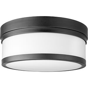 Celeste 2-Light Ceiling Mount in Textured Black