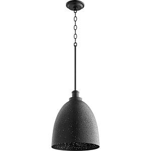 Stary Night Pendants 1-Light Pendant in Textured Black