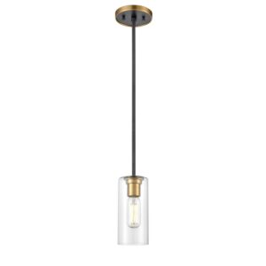 Barker 1-Light Mini-Pendant in Brass and Graphite