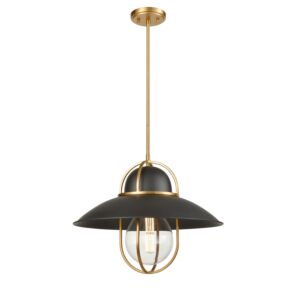 Peggy'S Cove 1-Light Pendant in Graphite and Venetian Brass