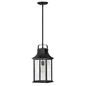 Grant 1-Light LED Outdoor Lantern in Textured Black