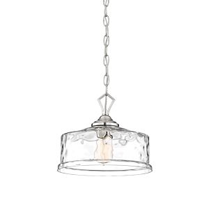 Drake 1-Light Pendant in Polished Nickel