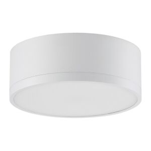 Beat 1-Light LED Flush Mount in White