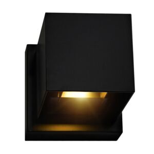 CWI Lilliana LED Wall Sconce With Black Finish