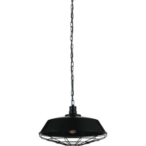 CWI Lighting Morgan 1 Light Down Pendant with Black finish