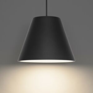 Myla 1-Light LED Outdoor Pendant in Black