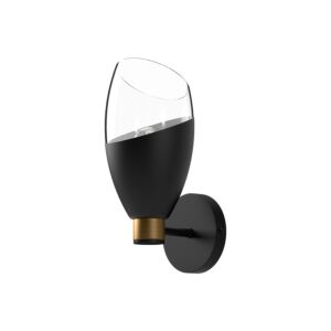 Capri 1-Light Bathroom Vanity Light in Matte Black with Clear Glass
