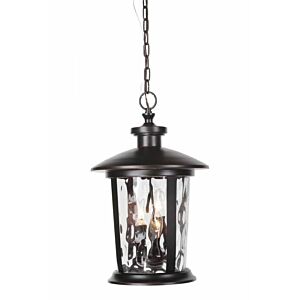 Craftmade Summerhays Outdoor Hanging Light in Oiled Bronze Gilded