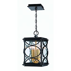 Craftmade Hamilton 16" Outdoor Hanging Light in Midnight with Patina Aged Brass