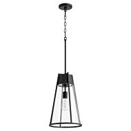 One Light Pendant by Quorum