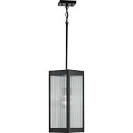 Felton 1-Light Hanging Lantern in Black