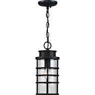 Port Royal 1-Light Hanging Lantern in Black