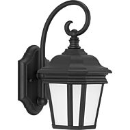 Crawford 1-Light Wall Lantern in Black