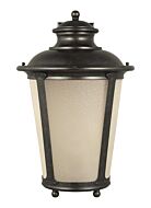 One Light Outdoor Wall Lantern by Generation Lighting.