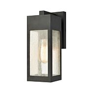 Angus 1-Light Outdoor Wall Sconce in Charcoal