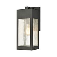 Angus 1-Light Outdoor Wall Sconce in Charcoal