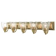 Birmingham 5-Light Bathroom Vanity Light in Antique Brass