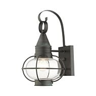 Newburyport 1-Light Outdoor Wall Lantern in Charcoal