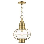 Newburyport 1-Light Outdoor Pendant in Antique Brass