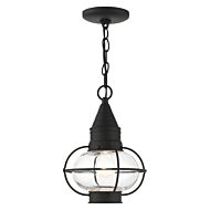 Newburyport 1-Light Outdoor Pendant in Black