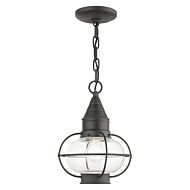 Newburyport 1-Light Outdoor Pendant in Charcoal