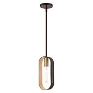 Ravena 1-Light Pendant in Bronze w with Antique Brasss