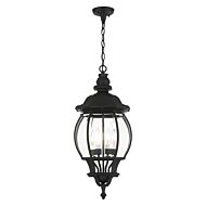 Frontenac 4-Light Outdoor Pendant in Textured Black