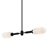 Two Light Linear Pendant by Troy Lighting