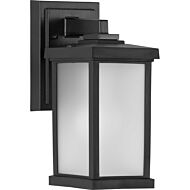 Trafford Non-Metallic Lantern 1-Light Wall Lantern in Black