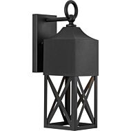 Birkdale 1-Light Outdoor Wall Lantern in Black