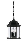 Devonshire 3-Light Hanging Lantern in Black