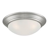 Tap 2-Light Flush Mount in Brushed Nickel