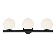 Crown Heights 3-Light Bathroom Vanity Light in Matte Black