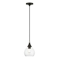 Catania 1-Light Mini Pendant in Black w with Brushed Nickel