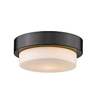 Multi-Family 1-Light Flush Mount in Matte Black