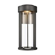 Brillis 1-Light LED Outdoor Wall Sconce in Matte Black