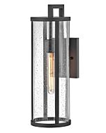 Alfie 1-Light LED Wall Lantern in Black