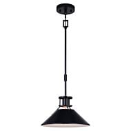 Canton 1-Light Pendant in Black and Matte White