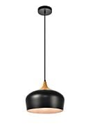 Nora 1-Light Pendant in Black