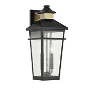 Two Light Outdoor Wall Lantern by Savoy House