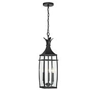 Three Light Outdoor Hanging Lantern by Savoy House