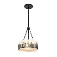 Sawgrass 2-Light Pendant in Laquered Black