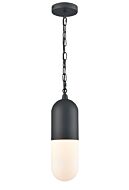 DVI Capsule Outdoor 1-Light Pendant in Black