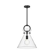 One Light Pendant by Alora