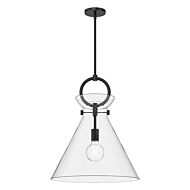 One Light Pendant by Alora