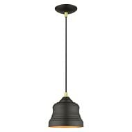 Endicott 1-Light Pendant in Bronze with Antique Brass